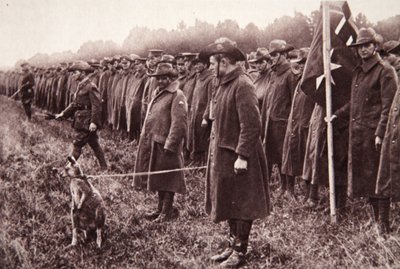 La revisione degli Anzac a Salisbury Plain: una mascotte australiana da English Photographer