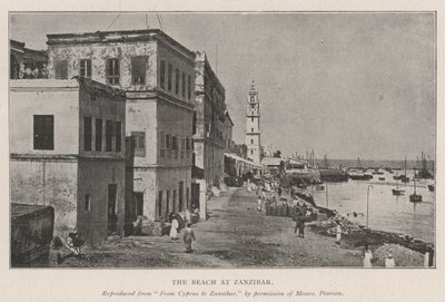 La spiaggia di Zanzibar da English Photographer