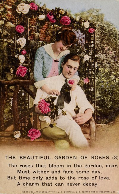 Il Bellissimo Giardino delle Rose da English Photographer