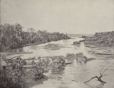 Il fiume Boyne, Queensland da English Photographer