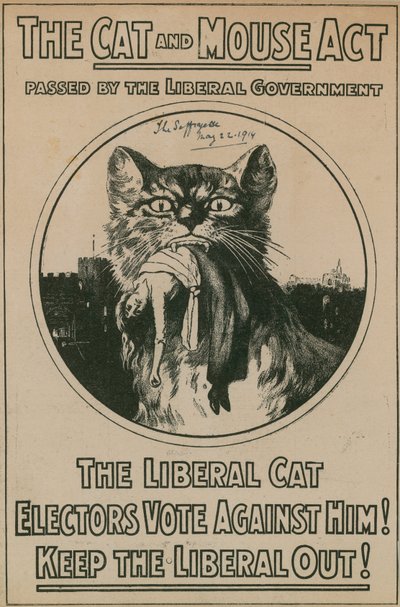 Il Cat and Mouse Act da English Photographer