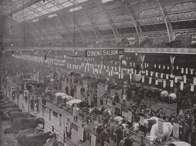 Mostra del bestiame, Royal Agricultural Hall da English Photographer