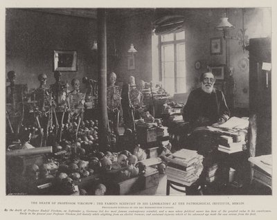 La morte del professor Virchow, il famoso scienziato nel suo laboratorio all