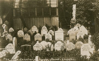Il cimitero dei cani, Hyde Park, Londra da English Photographer