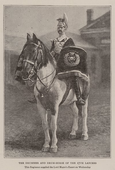 Il tamburino e il cavallo tamburino dei 17th Lancers da English Photographer