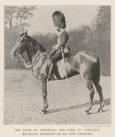Il Duca di Cornovaglia e York ad Adelaide, Sua Altezza Reale sul suo nuovo cavallo da English Photographer