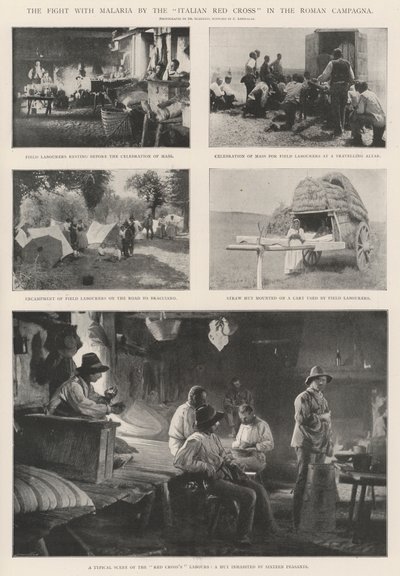 La lotta contro la malaria della Croce Rossa Italiana nella campagna romana da English Photographer