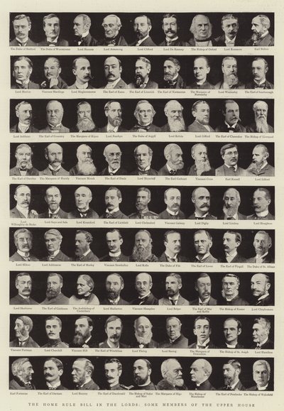 Il Disegno di Legge sull