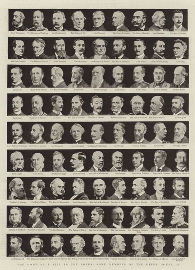 Il disegno di legge sull