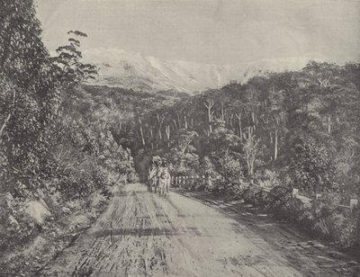La strada di Huon da English Photographer