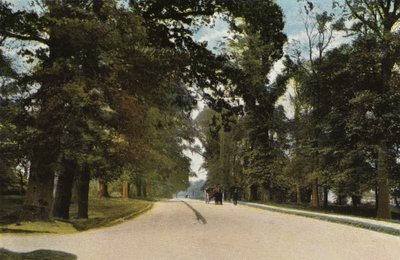 Il lungo viale, Coventry da English Photographer