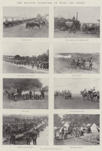 Le manovre militari nel Wiltshire e nel Dorset da English Photographer