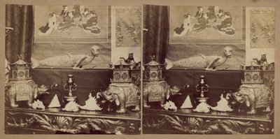 Il pesce-scimmia del Giappone da English Photographer