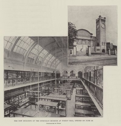 Il Nuovo Edificio del Museo Horniman a Forest Hill, inaugurato il 29 giugno da English Photographer