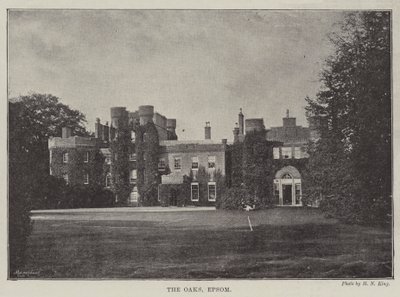 Le querce, Epsom da English Photographer