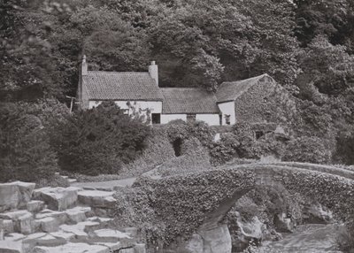 Il Vecchio Mulino, Jesmond Dene da English Photographer