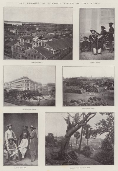 La peste a Bombay, vedute della città da English Photographer