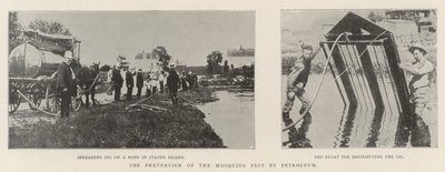 La prevenzione della peste delle zanzare con il petrolio da English Photographer