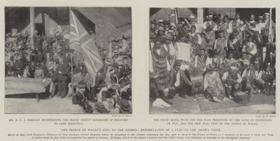 Il dono del principe di Galles ai Maori, presentazione di una bandiera alla tribù Arawa da English Photographer