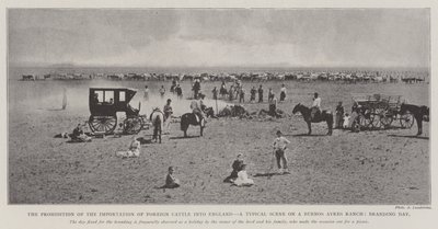 Il divieto di importazione di bestiame straniero in Inghilterra, una scena tipica in un ranch di Buenos Ayres, giorno di marchiatura da English Photographer