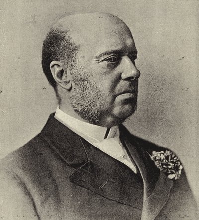 Sir Hercules Robinson, ex Governatore del Capo e Alto Commissario di Sua Maestà per il Sud Africa da English Photographer