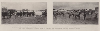 La mostra della Royal Agricultural Society a Carlisle, il sessantaquattresimo e ultimo incontro provinciale da English Photographer