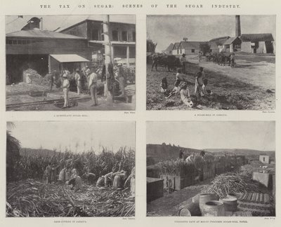 La tassa sullo zucchero, scene dell