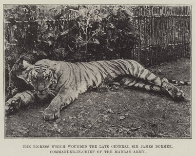 La tigre che ferì il defunto generale Sir James Dormer, comandante in capo dell