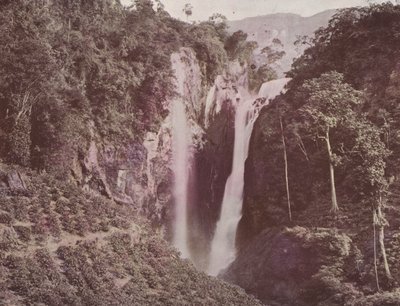 Le Cascate Gemelle (Coltivazione del Caffè in Primo Piano), Ceylon da English Photographer
