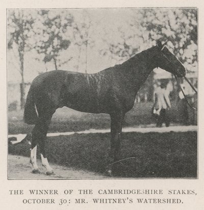 Il vincitore delle Cambridgeshire Stakes, 30 ottobre, Watershed di Mr Whitney da English Photographer