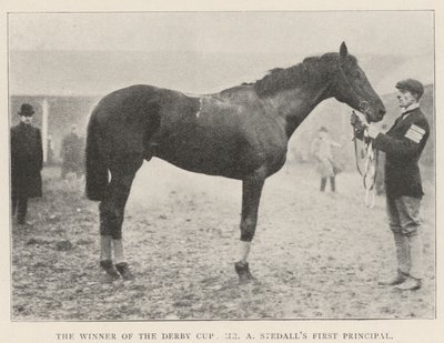 Il vincitore della Derby Cup, il primo principale del signor A Stedall da English Photographer