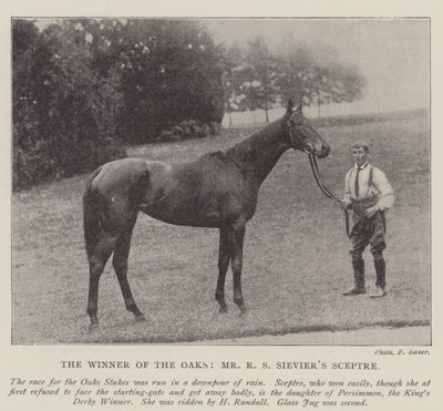 Il vincitore delle Oaks, Sceptre di Mr R S Sievier da English Photographer