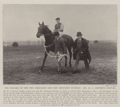 Il vincitore delle Due Mila e Mille Ghinee, lo scettro di Mr R S Sievier da English Photographer