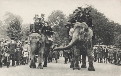 Gli elefanti dello Zoo di Londra a Regent