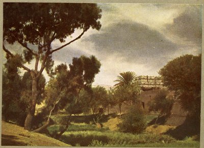 I dintorni di un villaggio vicino a Luxor, Egitto da English Photographer