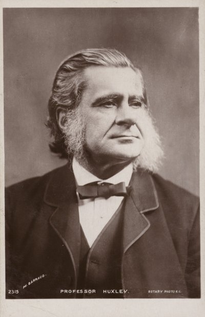 Thomas Henry Huxley da English Photographer