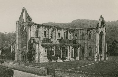 Abbazia di Tintern da English Photographer