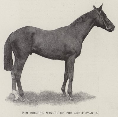 Tom Cringle, vincitore degli Ascot Stakes da English Photographer