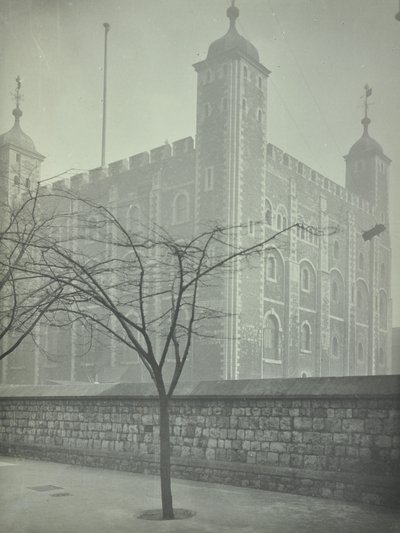 Torre di Londra, Tower Hill: Torre Bianca, 1899 da English Photographer