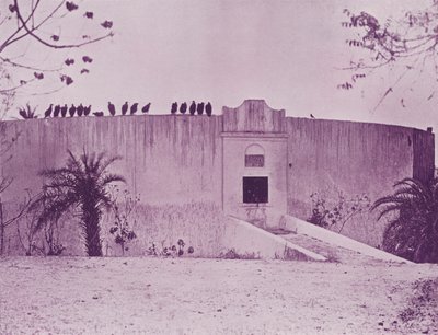 Torre del Silenzio, Bombay da English Photographer