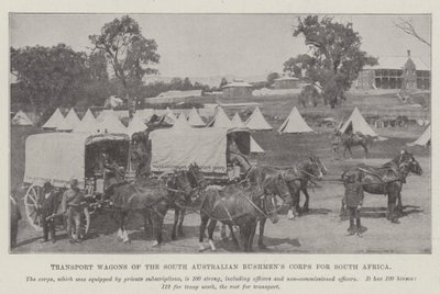 Carri di trasporto del South Australian Bushmens Corps per il Sudafrica da English Photographer