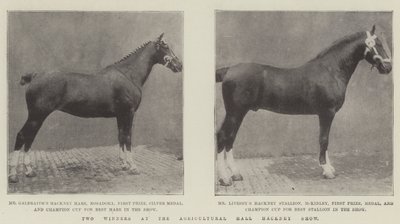 Due vincitori alla mostra di Hackney Agricultural Hall da English Photographer