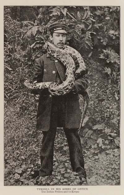 Tyrrell nei suoi abiti d