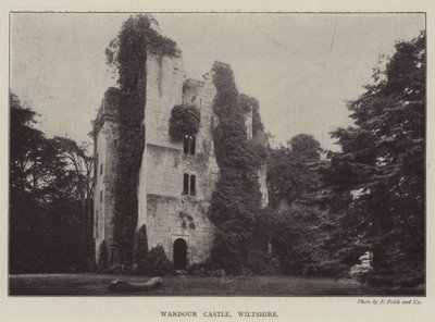 Castello di Wardour, Wiltshire da English Photographer