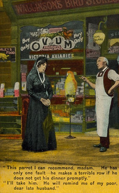 Vedova che compra un pappagallo in un negozio di animali (foto a colori) da English Photographer