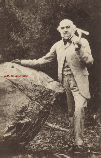 William Ewart Gladstone da English Photographer