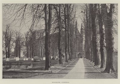 Cattedrale di Winchester da English Photographer