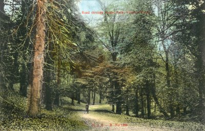 Windsor Great Park, Virginia Water da English Photographer