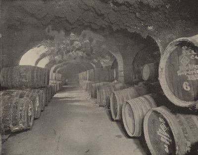 Volte del vino (foto b/n) da English Photographer
