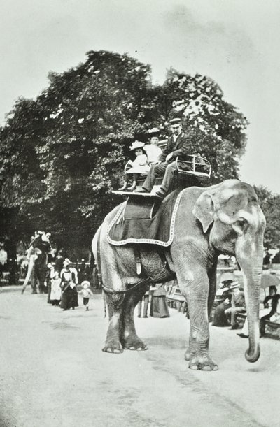 Giardini Zoologici, Regents Park: giri in elefante, Londra, c.1895 da English Photographer